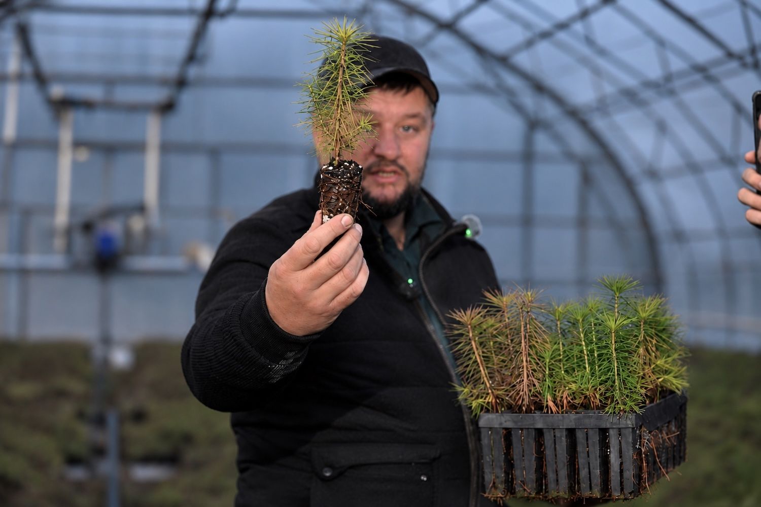 «Halyk Орманы» жобасы аясында Семей орманын қалпына келтіру жұмыстары, қарағай көшеттерін өсіру және баспасөз турына қатысушылар. Halyk Орманы, Halyk қоры, Семей орманы, Абай облысы, орманды қалпына келтіру, қарағай отырғызу, орман питомниктері, Тимур Құлыбаев, қайырымдылық, экология, Samruk-Kazyna Trust, еріктілер