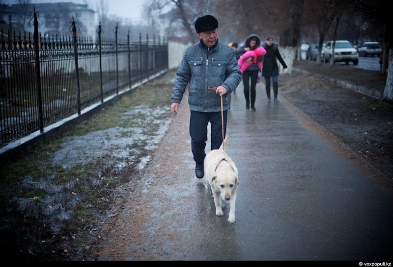 Незрячий мужчина из Талдыкоргана и его собака-поводырь Лари — история доверия, дружбы и света, который помогает идти вперёд даже в темноте, незрячие, собака-поводырь, Талдыкорган, жизнь, инвалиды, помощь, социализация, проект, Карлыгаш Нуржан, Shanger.kz