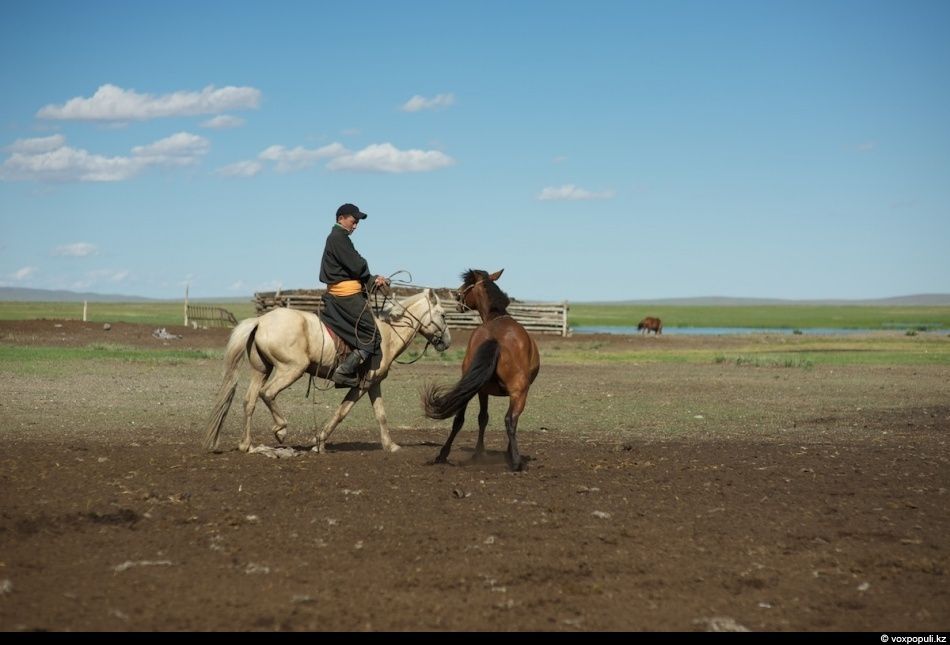 Экспедиция «По следам Чингисхана» проходит по древним местам Монголии — Каракоруму, Орхону и мемориалам великих тюркских и монгольских правителей. Монголия, Чингисхан, Каракорум, Великая степь, экспедиция, история, тюркские племена, культура, археология, Карлыгаш Нуржан, Shanger.kz