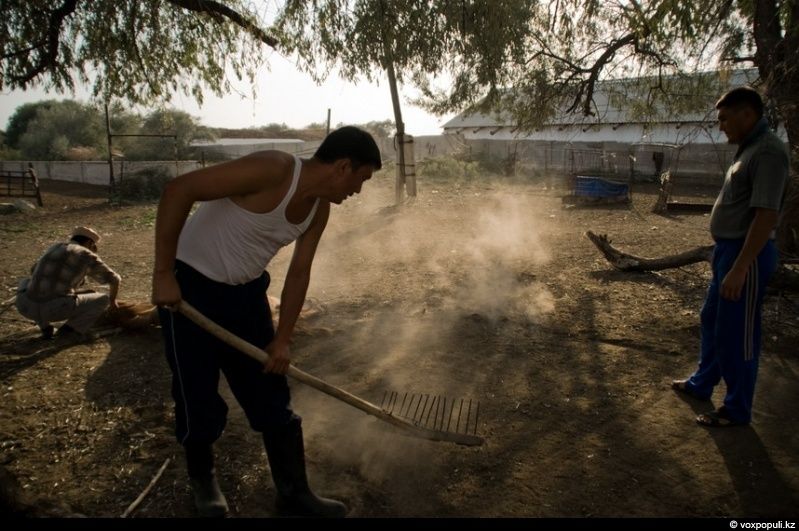 Казахская семья в осенний сезон готовит согым — традиционную заготовку мяса на зиму и казы, национальный деликатес, символизирующий уважение к труду и преемственность традиций. Согым, казы, традиции Казахстана, конина, сельская жизнь, казахская кухня, Алматинская область, Карлыгаш Нуржан, Shanger.kz