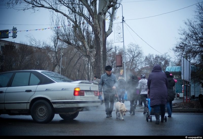 Незрячий мужчина из Талдыкоргана и его собака-поводырь Лари — история доверия, дружбы и света, который помогает идти вперёд даже в темноте, незрячие, собака-поводырь, Талдыкорган, жизнь, инвалиды, помощь, социализация, проект, Карлыгаш Нуржан, Shanger.kz