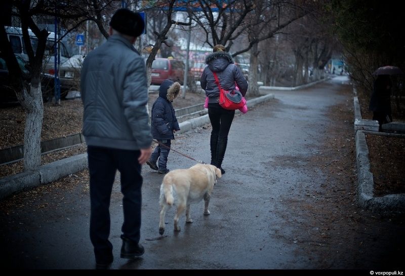 Незрячий мужчина из Талдыкоргана и его собака-поводырь Лари — история доверия, дружбы и света, который помогает идти вперёд даже в темноте, незрячие, собака-поводырь, Талдыкорган, жизнь, инвалиды, помощь, социализация, проект, Карлыгаш Нуржан, Shanger.kz