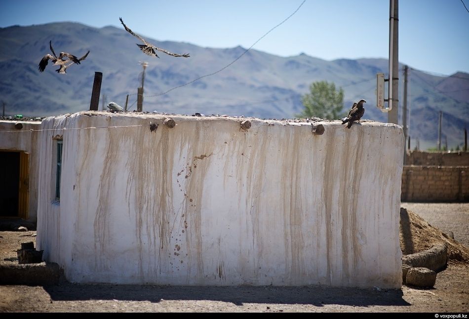 Экспедиция «По пути Чингисхана» встречается с монгольскими казахами в Баян-Өлгии, исследуя их быт, культуру и историю на древней земле кочевников. Монголия, казахи Монголии, Баян-Өлгий, Чингисхан, экспедиция, кочевая культура, этнография, история, путешествия, Карлыгаш Нуржан, Shanger.kz