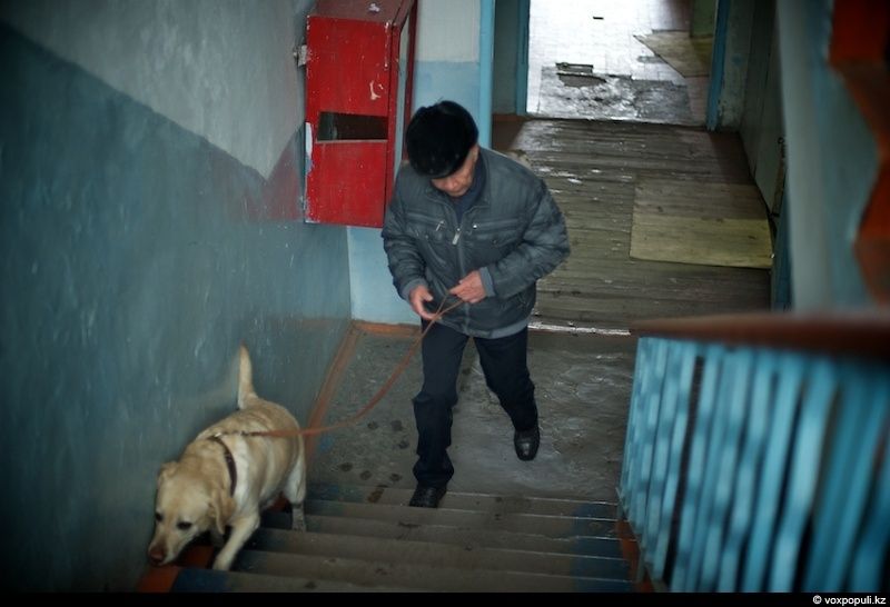 Незрячий мужчина из Талдыкоргана и его собака-поводырь Лари — история доверия, дружбы и света, который помогает идти вперёд даже в темноте, незрячие, собака-поводырь, Талдыкорган, жизнь, инвалиды, помощь, социализация, проект, Карлыгаш Нуржан, Shanger.kz