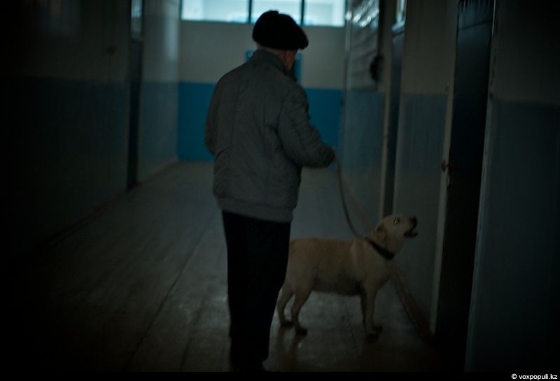 Незрячий мужчина из Талдыкоргана и его собака-поводырь Лари — история доверия, дружбы и света, который помогает идти вперёд даже в темноте, незрячие, собака-поводырь, Талдыкорган, жизнь, инвалиды, помощь, социализация, проект, Карлыгаш Нуржан, Shanger.kz