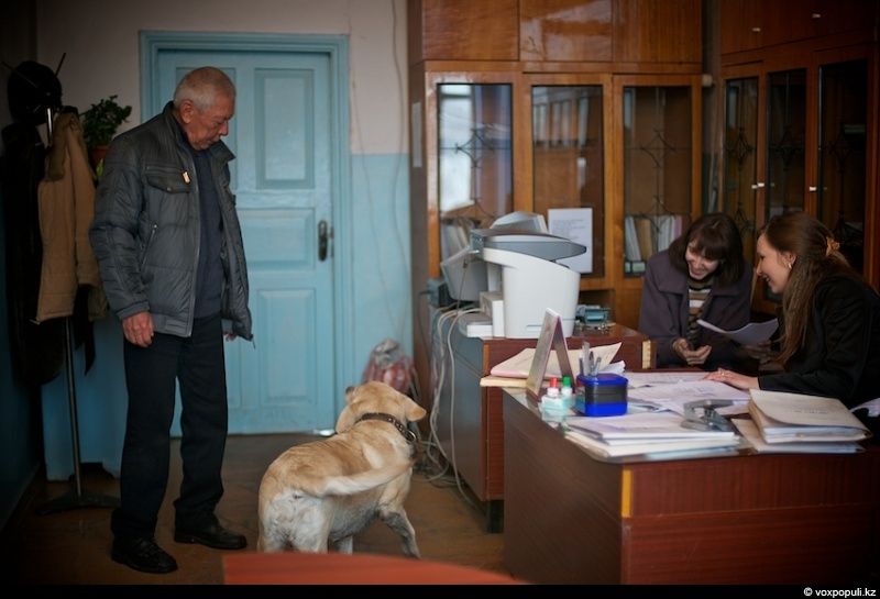 Незрячий мужчина из Талдыкоргана и его собака-поводырь Лари — история доверия, дружбы и света, который помогает идти вперёд даже в темноте, незрячие, собака-поводырь, Талдыкорган, жизнь, инвалиды, помощь, социализация, проект, Карлыгаш Нуржан, Shanger.kz