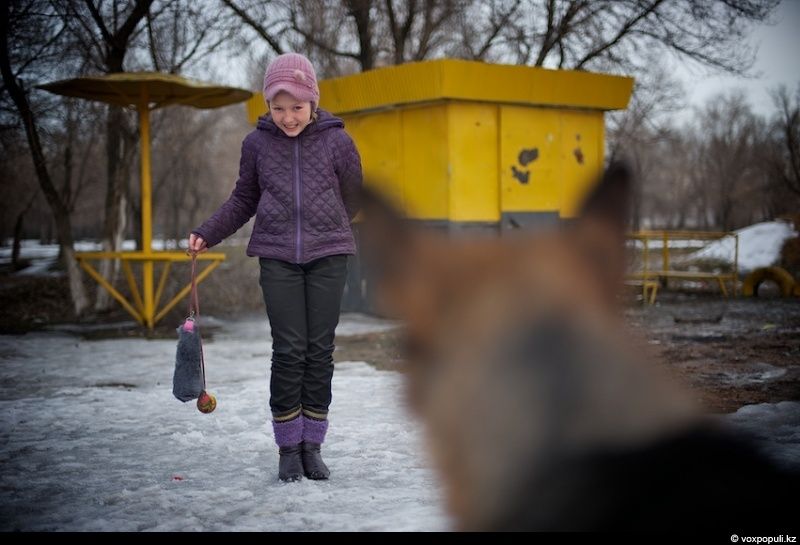 Незрячий мужчина из Талдыкоргана и его собака-поводырь Лари — история доверия, дружбы и света, который помогает идти вперёд даже в темноте, незрячие, собака-поводырь, Талдыкорган, жизнь, инвалиды, помощь, социализация, проект, Карлыгаш Нуржан, Shanger.kz