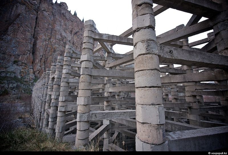 Инспектор Иссыкского заповедника Иса Бикаев — философ и хранитель природы, посвятивший жизнь защите горного озера и духовной гармонии человека с природой. Природа, Иссык, заповедник, Иса Бикаев, экология, Алматинская область, философия, человек и природа, Карлыгаш Нуржан, Shanger.kz