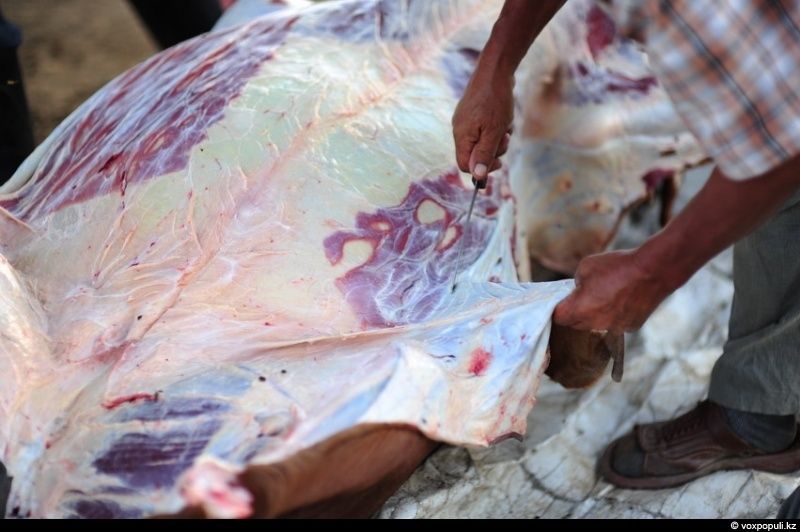 Казахская семья в осенний сезон готовит согым — традиционную заготовку мяса на зиму и казы, национальный деликатес, символизирующий уважение к труду и преемственность традиций. Согым, казы, традиции Казахстана, конина, сельская жизнь, казахская кухня, Алматинская область, Карлыгаш Нуржан, Shanger.kz