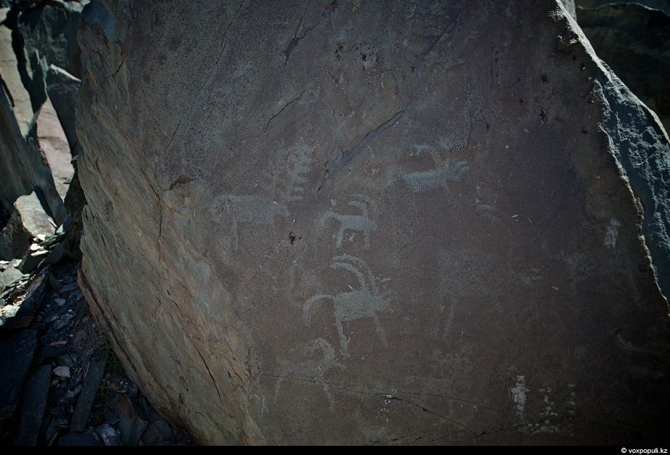 Экспедиция «По пути Чингисхана» встречается с монгольскими казахами в Баян-Өлгии, исследуя их быт, культуру и историю на древней земле кочевников. Монголия, казахи Монголии, Баян-Өлгий, Чингисхан, экспедиция, кочевая культура, этнография, история, путешествия, Карлыгаш Нуржан, Shanger.kz