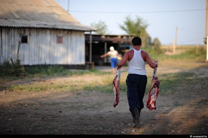 Казахская семья в осенний сезон готовит согым — традиционную заготовку мяса на зиму и казы, национальный деликатес, символизирующий уважение к труду и преемственность традиций. Согым, казы, традиции Казахстана, конина, сельская жизнь, казахская кухня, Алматинская область, Карлыгаш Нуржан, Shanger.kz