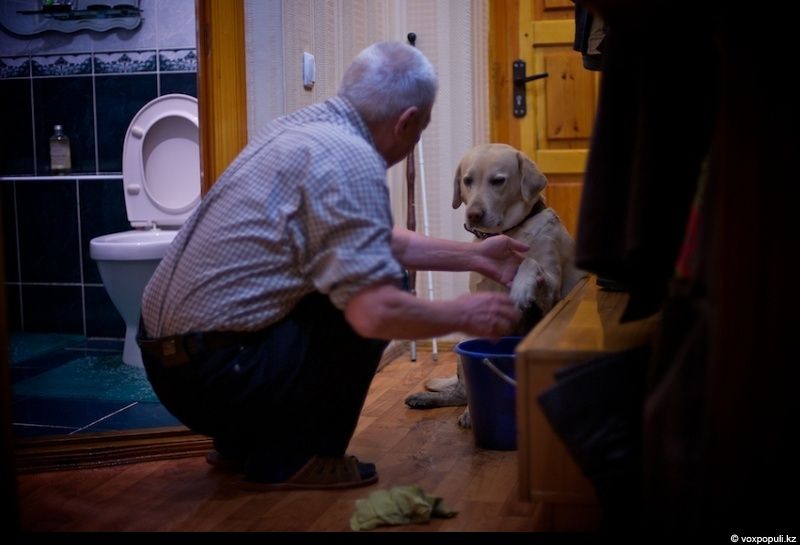 Незрячий мужчина из Талдыкоргана и его собака-поводырь Лари — история доверия, дружбы и света, который помогает идти вперёд даже в темноте, незрячие, собака-поводырь, Талдыкорган, жизнь, инвалиды, помощь, социализация, проект, Карлыгаш Нуржан, Shanger.kz