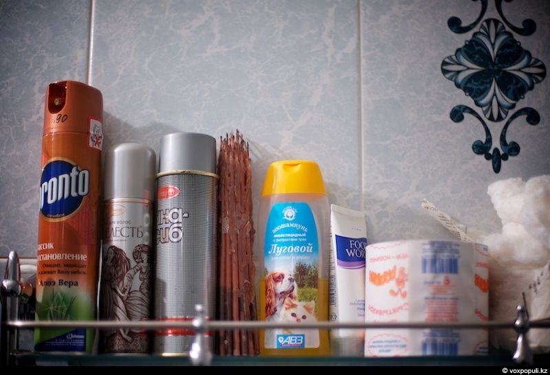 Незрячий мужчина из Талдыкоргана и его собака-поводырь Лари — история доверия, дружбы и света, который помогает идти вперёд даже в темноте, незрячие, собака-поводырь, Талдыкорган, жизнь, инвалиды, помощь, социализация, проект, Карлыгаш Нуржан, Shanger.kz