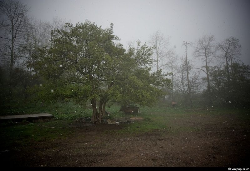 Инспектор Иссыкского заповедника Иса Бикаев — философ и хранитель природы, посвятивший жизнь защите горного озера и духовной гармонии человека с природой. Природа, Иссык, заповедник, Иса Бикаев, экология, Алматинская область, философия, человек и природа, Карлыгаш Нуржан, Shanger.kz