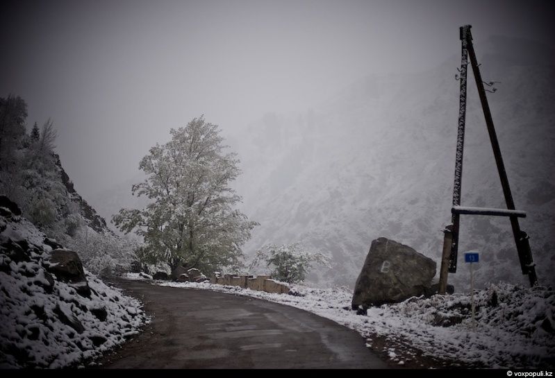 Инспектор Иссыкского заповедника Иса Бикаев — философ и хранитель природы, посвятивший жизнь защите горного озера и духовной гармонии человека с природой. Природа, Иссык, заповедник, Иса Бикаев, экология, Алматинская область, философия, человек и природа, Карлыгаш Нуржан, Shanger.kz