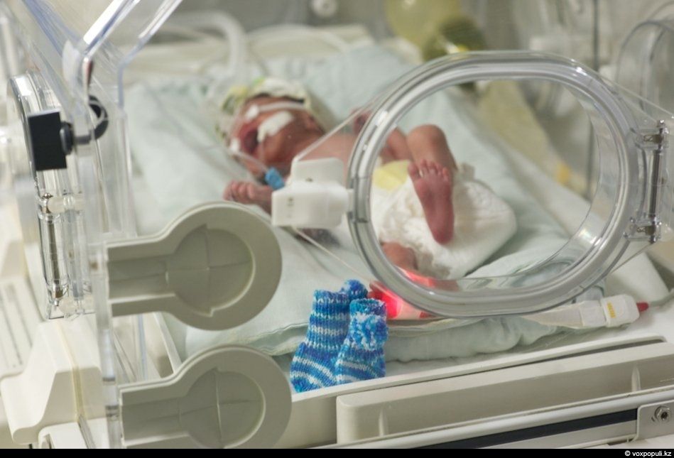 Женщины-волонтёры вяжут носочки для недоношенных детей в рамках благотворительной акции, чтобы помочь младенцам сохранить тепло после рождения, недоношенные дети, благотворительность, вязание, акция добрых дел, тепло, носочки, Air Astana, Алматы, Карлыгаш Нуржан, Shanger.kz