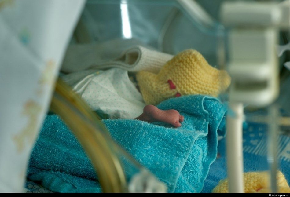 Женщины-волонтёры вяжут носочки для недоношенных детей в рамках благотворительной акции, чтобы помочь младенцам сохранить тепло после рождения, недоношенные дети, благотворительность, вязание, акция добрых дел, тепло, носочки, Air Astana, Алматы, Карлыгаш Нуржан, Shanger.kz