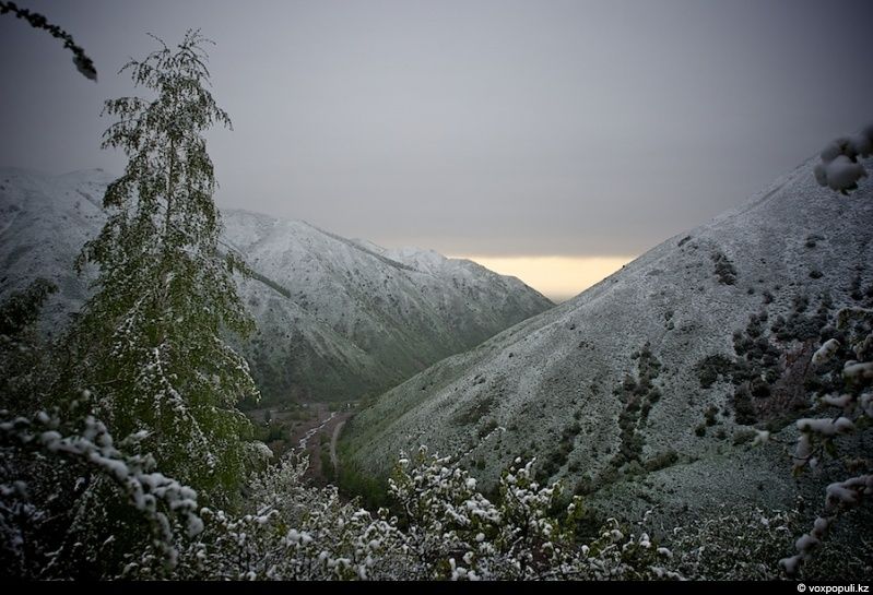 Инспектор Иссыкского заповедника Иса Бикаев — философ и хранитель природы, посвятивший жизнь защите горного озера и духовной гармонии человека с природой. Природа, Иссык, заповедник, Иса Бикаев, экология, Алматинская область, философия, человек и природа, Карлыгаш Нуржан, Shanger.kz
