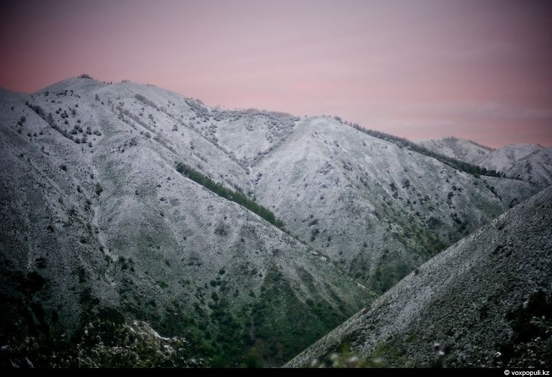 Инспектор Иссыкского заповедника Иса Бикаев — философ и хранитель природы, посвятивший жизнь защите горного озера и духовной гармонии человека с природой. Природа, Иссык, заповедник, Иса Бикаев, экология, Алматинская область, философия, человек и природа, Карлыгаш Нуржан, Shanger.kz