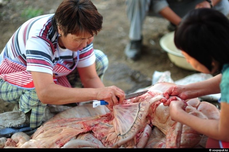 Казахская семья в осенний сезон готовит согым — традиционную заготовку мяса на зиму и казы, национальный деликатес, символизирующий уважение к труду и преемственность традиций. Согым, казы, традиции Казахстана, конина, сельская жизнь, казахская кухня, Алматинская область, Карлыгаш Нуржан, Shanger.kz