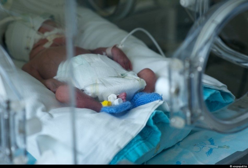 Женщины-волонтёры вяжут носочки для недоношенных детей в рамках благотворительной акции, чтобы помочь младенцам сохранить тепло после рождения, недоношенные дети, благотворительность, вязание, акция добрых дел, тепло, носочки, Air Astana, Алматы, Карлыгаш Нуржан, Shanger.kz