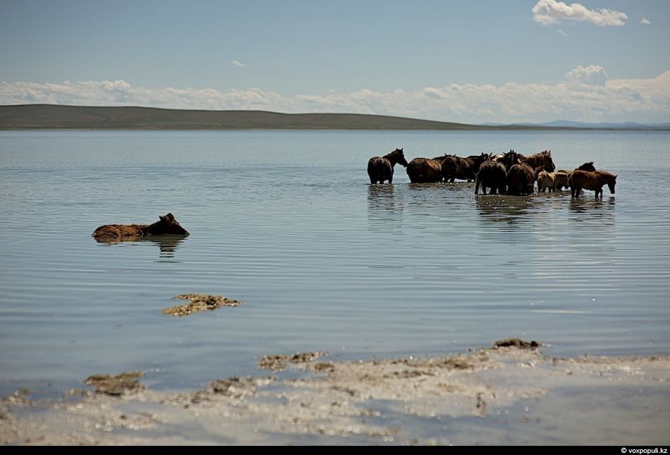 Экспедиция «По следам Чингисхана» проходит по древним местам Монголии — Каракоруму, Орхону и мемориалам великих тюркских и монгольских правителей. Монголия, Чингисхан, Каракорум, Великая степь, экспедиция, история, тюркские племена, культура, археология, Карлыгаш Нуржан, Shanger.kz