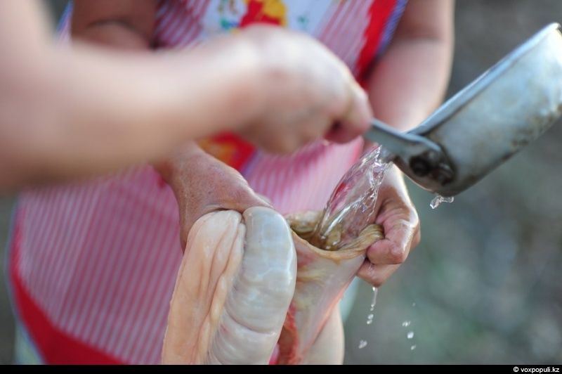 Казахская семья в осенний сезон готовит согым — традиционную заготовку мяса на зиму и казы, национальный деликатес, символизирующий уважение к труду и преемственность традиций. Согым, казы, традиции Казахстана, конина, сельская жизнь, казахская кухня, Алматинская область, Карлыгаш Нуржан, Shanger.kz
