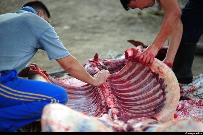 Казахская семья в осенний сезон готовит согым — традиционную заготовку мяса на зиму и казы, национальный деликатес, символизирующий уважение к труду и преемственность традиций. Согым, казы, традиции Казахстана, конина, сельская жизнь, казахская кухня, Алматинская область, Карлыгаш Нуржан, Shanger.kz