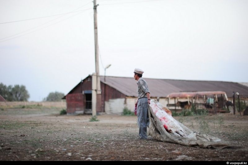 Казахская семья в осенний сезон готовит согым — традиционную заготовку мяса на зиму и казы, национальный деликатес, символизирующий уважение к труду и преемственность традиций. Согым, казы, традиции Казахстана, конина, сельская жизнь, казахская кухня, Алматинская область, Карлыгаш Нуржан, Shanger.kz