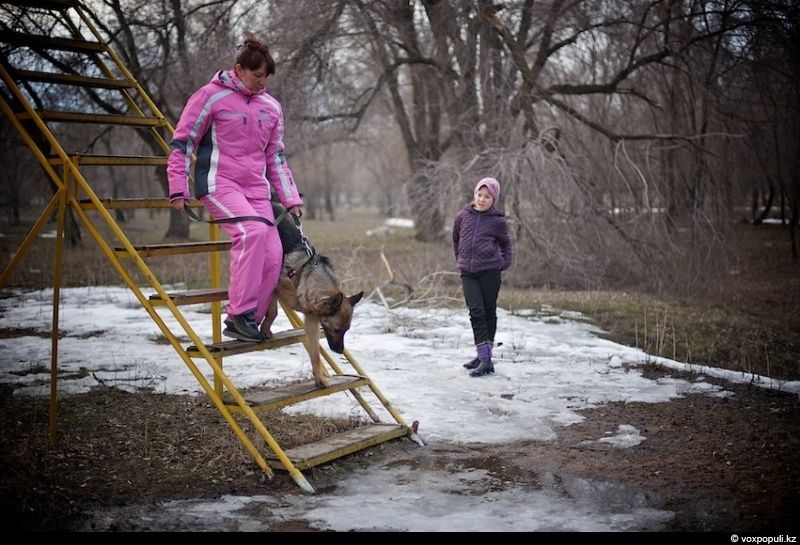 Незрячий мужчина из Талдыкоргана и его собака-поводырь Лари — история доверия, дружбы и света, который помогает идти вперёд даже в темноте, незрячие, собака-поводырь, Талдыкорган, жизнь, инвалиды, помощь, социализация, проект, Карлыгаш Нуржан, Shanger.kz