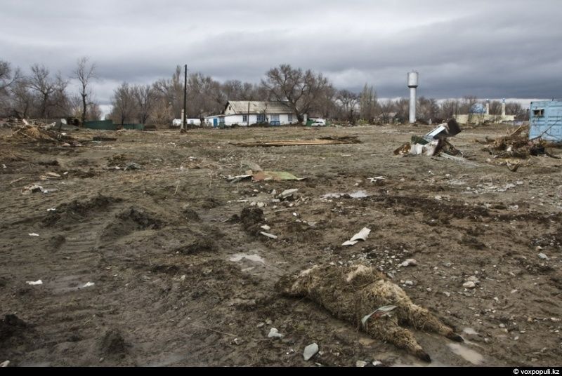 Жители села Кызылагаш вспоминают трагедию 2010 года, когда прорыв плотины уничтожил село, и рассказывают, как им удалось начать жизнь заново. Кызылагаш, наводнение 2010, восстановление, жизнь после трагедии, Аксуcкий район, помощь пострадавшим, Алматинская область, Карлыгаш Нуржан, Shanger.kz