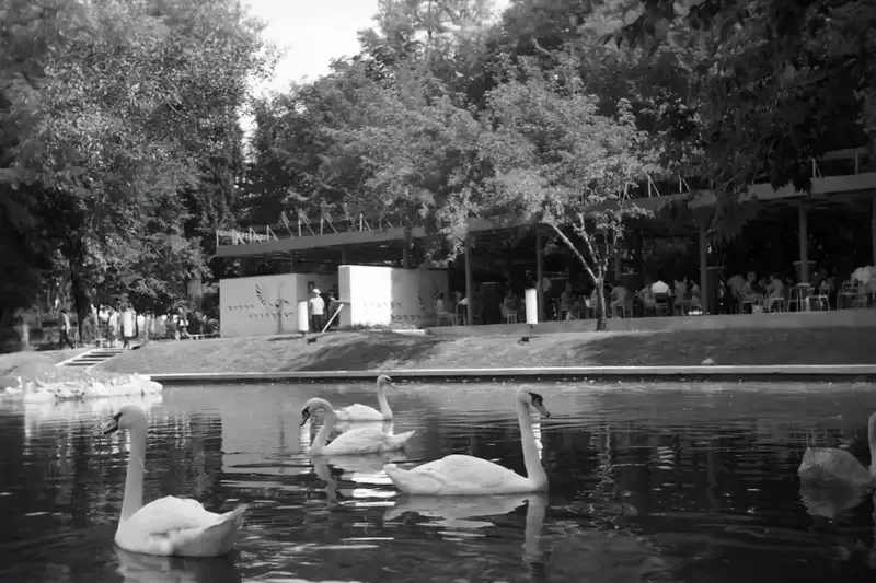 Жители Алматы вспоминают атмосферу кафе Аққу — культового места интеллигенции и дискуссий, кафе Аққу, Алматы, культовое место встреч, интеллигенция Казахстана, восстановление исторической архитектуры, городская память, центр культуры Казахстана