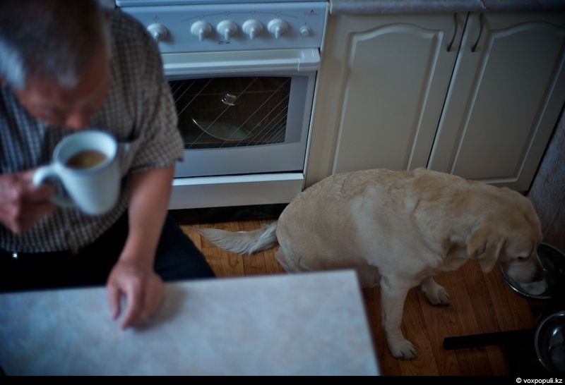 Незрячий мужчина из Талдыкоргана и его собака-поводырь Лари — история доверия, дружбы и света, который помогает идти вперёд даже в темноте, незрячие, собака-поводырь, Талдыкорган, жизнь, инвалиды, помощь, социализация, проект, Карлыгаш Нуржан, Shanger.kz