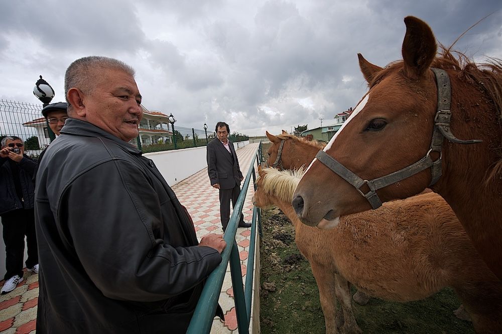 Казахская диаспора в Турции, история переселения и жизни казахов за рубежом, казахская диаспора, Турция, Стамбул, история, миграция, культура, традиции, казахи за рубежом, Карлыгаш Нуржан, Shanger.kz