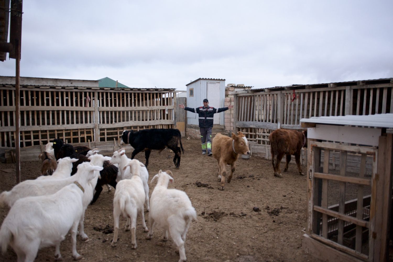 Кандасы в селе Батыр Мангистауской области — семьи этнических казахов, вернувшихся на историческую родину, кандасы, оралманы, возвращение на родину, этнические казахи, Мангистауская область, село Батыр, Мунайлинский район, ашаршылық, голодомор 1930-х, репатриация казахов, казахская диаспора, Туркменистан, Узбекистан, Каракалпакстан, Иран, Афганистан, история переселения, память поколений, шежіре, казахские традиции, шөбере, земля предков, идентичность