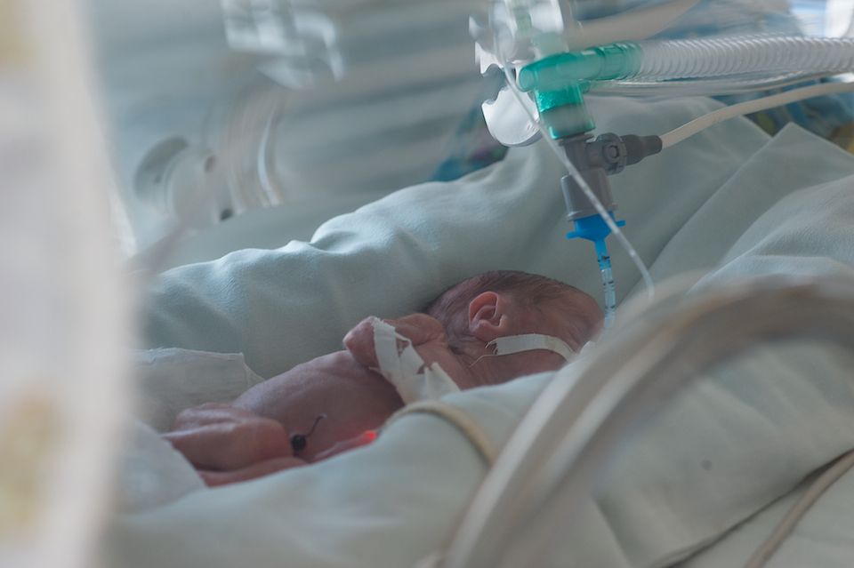 Врачи-неонатологи и медсёстры роддома №3 в Астане выхаживают недоношенных детей весом от 500 граммов, используя современные методы лечения и заботу, неонатология, недоношенные дети, роддом №3, медицина Казахстана, здоровье новорождённых, Астана, Карлыгаш Нуржан, Shanger.kz
