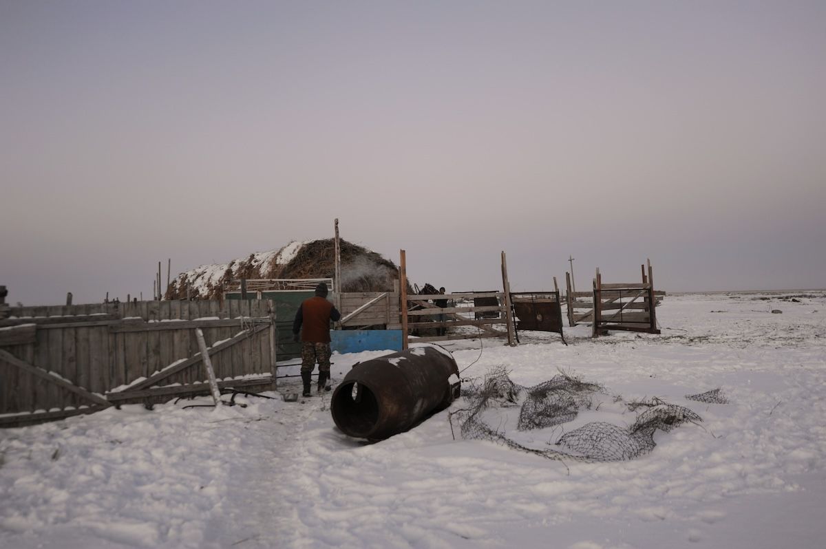 Казахская семья чабанов из села Кызылагаш живёт вдали от городской суеты, сохраняя традиционный уклад, гостеприимие и простую радость сельской жизни. Чабаны, сельская жизнь, Кызылагаш, традиции Казахстана, семья, сельский быт, Зима в Казахстане, Карлыгаш Нуржан, Shanger.kz