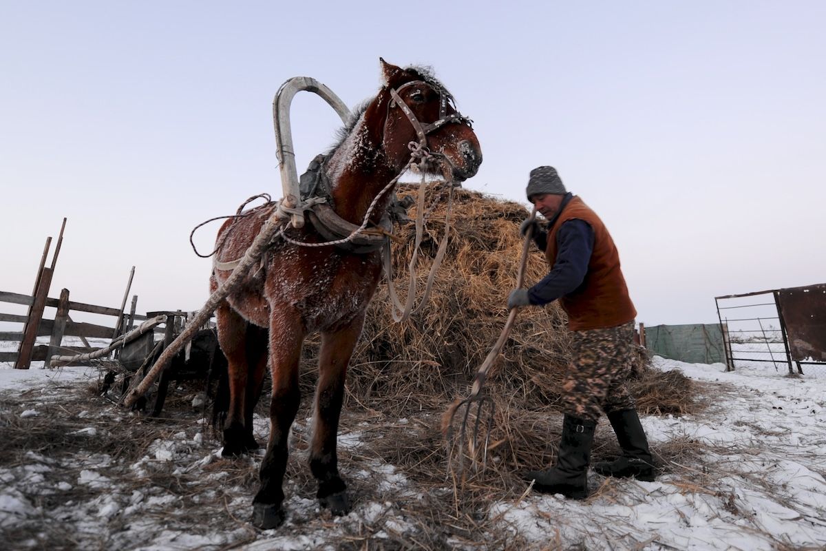 Казахская семья чабанов из села Кызылагаш живёт вдали от городской суеты, сохраняя традиционный уклад, гостеприимие и простую радость сельской жизни. Чабаны, сельская жизнь, Кызылагаш, традиции Казахстана, семья, сельский быт, Зима в Казахстане, Карлыгаш Нуржан, Shanger.kz