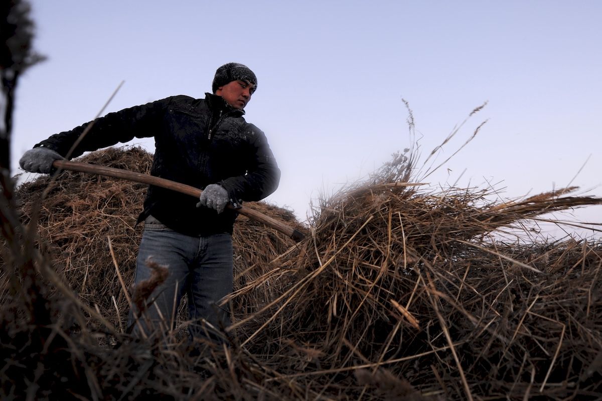 Казахская семья чабанов из села Кызылагаш живёт вдали от городской суеты, сохраняя традиционный уклад, гостеприимие и простую радость сельской жизни. Чабаны, сельская жизнь, Кызылагаш, традиции Казахстана, семья, сельский быт, Зима в Казахстане, Карлыгаш Нуржан, Shanger.kz