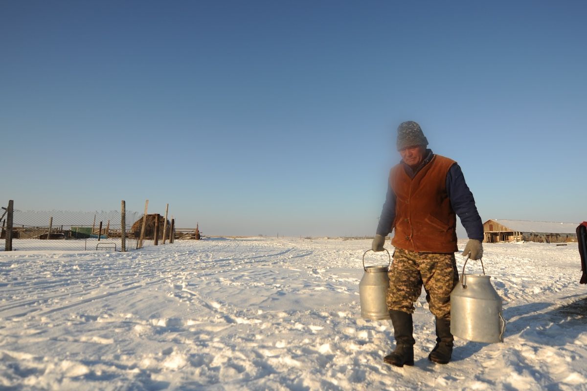 Казахская семья чабанов из села Кызылагаш живёт вдали от городской суеты, сохраняя традиционный уклад, гостеприимие и простую радость сельской жизни. Чабаны, сельская жизнь, Кызылагаш, традиции Казахстана, семья, сельский быт, Зима в Казахстане, Карлыгаш Нуржан, Shanger.kz