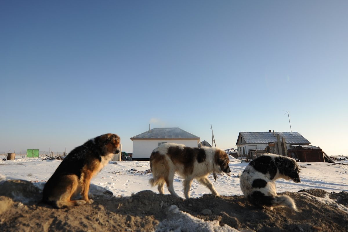 Казахская семья чабанов из села Кызылагаш живёт вдали от городской суеты, сохраняя традиционный уклад, гостеприимие и простую радость сельской жизни. Чабаны, сельская жизнь, Кызылагаш, традиции Казахстана, семья, сельский быт, Зима в Казахстане, Карлыгаш Нуржан, Shanger.kz