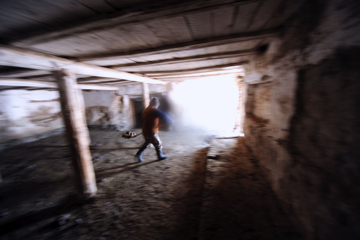 Казахская семья чабанов из села Кызылагаш живёт вдали от городской суеты, сохраняя традиционный уклад, гостеприимие и простую радость сельской жизни. Чабаны, сельская жизнь, Кызылагаш, традиции Казахстана, семья, сельский быт, Зима в Казахстане, Карлыгаш Нуржан, Shanger.kz