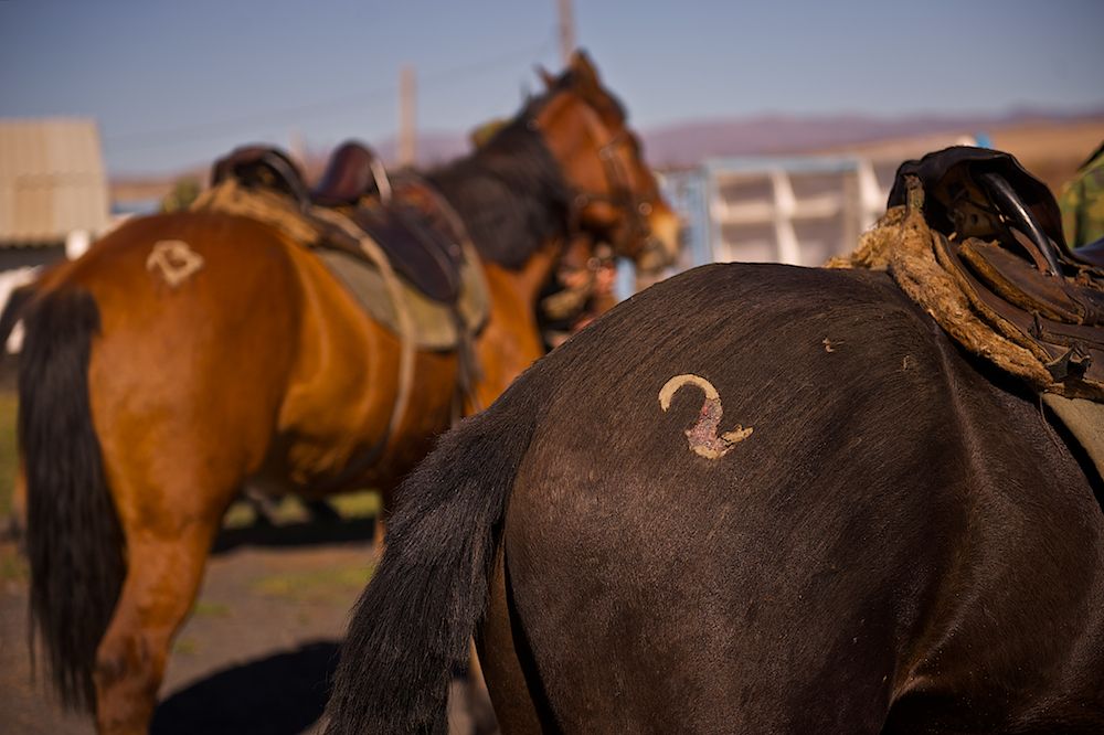 Пограничники Казахстана на ночном посту: жизнь, служба и охрана границы с Китаем]6 граница Казахстана, пограничники, служба, безопасность, армия, Челах, Аркан-Керген, восточный Казахстан, военные, Shanger.kz, Карлыгаш Нуржан