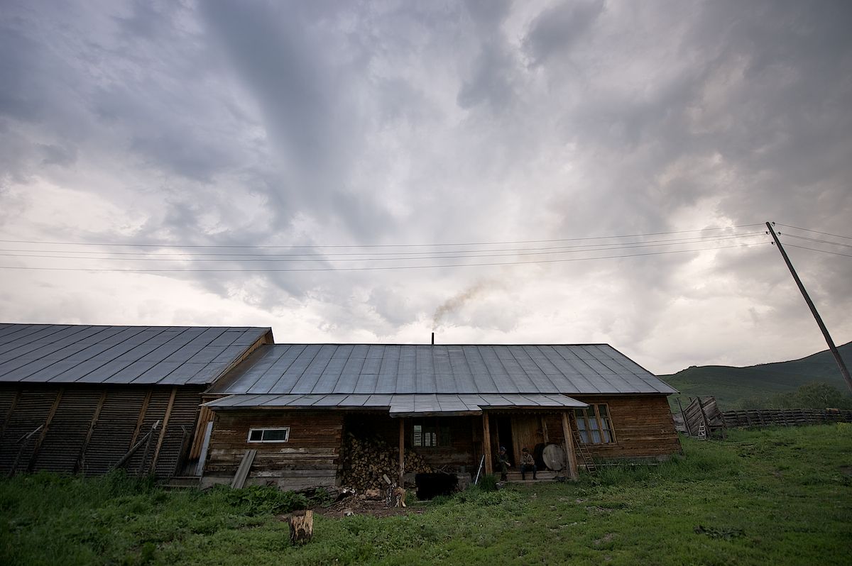 Мараловоды Катон-Карагайского района Восточного Казахстана проводят весеннюю резку пант — молодые рога маралов, из которых изготавливают ценные лечебные препараты. Панты, мараловодство, Катон-Карагай, Восточный Казахстан, маралы, традиции животноводства, экотуризм, пантогематоген, Карлыгаш Нуржан, Shanger.kz