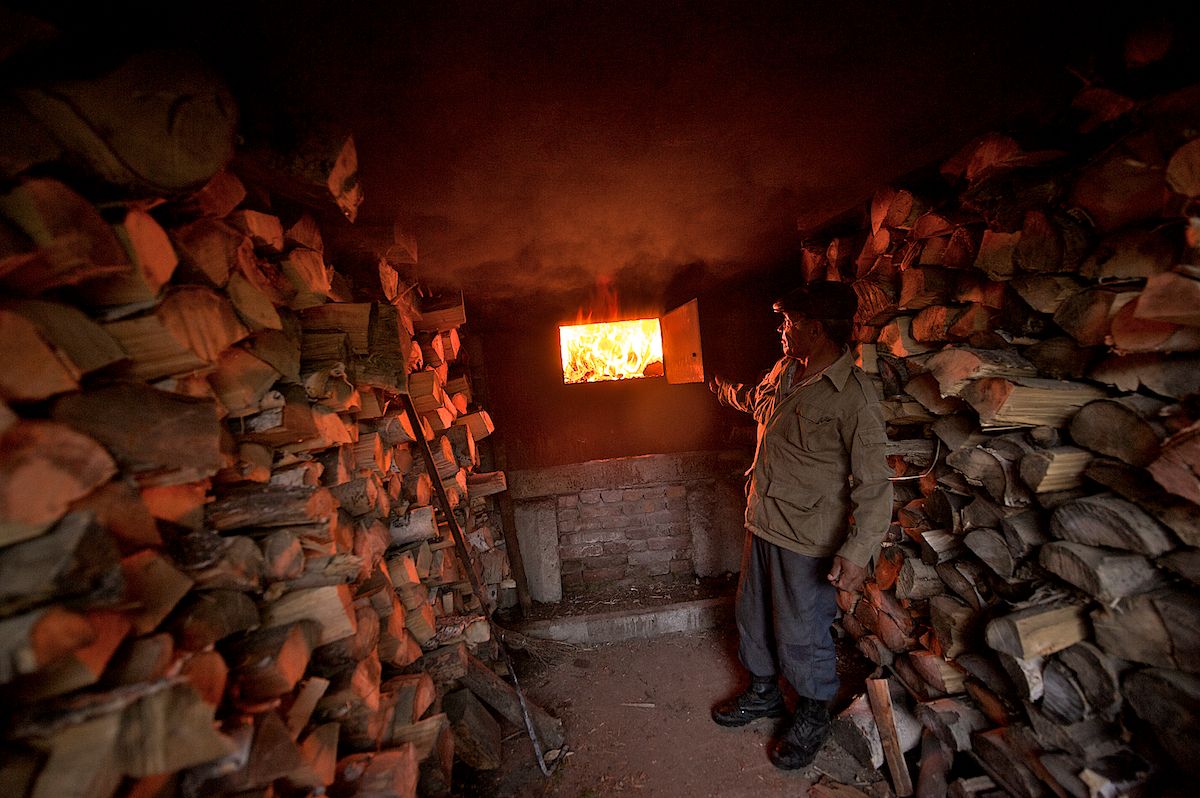 Мараловоды Катон-Карагайского района Восточного Казахстана проводят весеннюю резку пант — молодые рога маралов, из которых изготавливают ценные лечебные препараты. Панты, мараловодство, Катон-Карагай, Восточный Казахстан, маралы, традиции животноводства, экотуризм, пантогематоген, Карлыгаш Нуржан, Shanger.kz