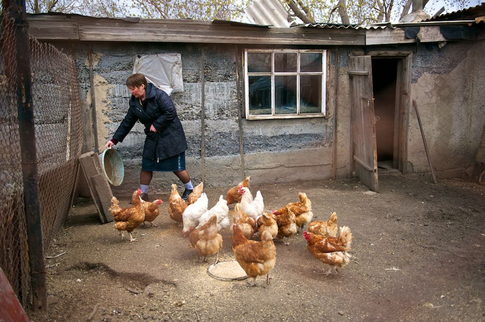 Бывшие осужденные Казахстана, проходящие ресоциализацию и адаптацию к жизни после тюрьмы в реабилитационных центрах и приютах, тюремная реформа, ресоциализация, бывшие осужденные, пробация, PRI, реабилитационные центры, Павлодар, Караганда, Карлыгаш Нуржан, Shanger.kz