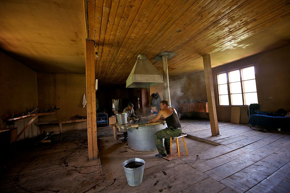 Мараловоды Катон-Карагайского района Восточного Казахстана проводят весеннюю резку пант — молодые рога маралов, из которых изготавливают ценные лечебные препараты. Панты, мараловодство, Катон-Карагай, Восточный Казахстан, маралы, традиции животноводства, экотуризм, пантогематоген, Карлыгаш Нуржан, Shanger.kz