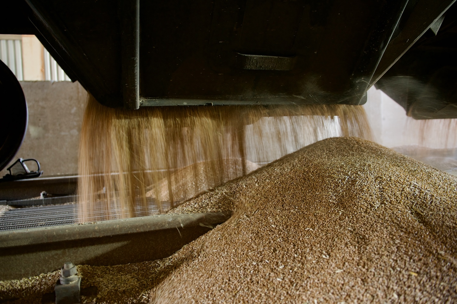 Жители села Бейнеу на зерновом терминале Фонда Halyk: первый хлеб выпечен из местной муки, рядом развивается школа и социальные объекты. Фонд Halyk, село Бейнеу, зерновой терминал, школа Бейнеу, сельское развитие, хлеб, Мангистауская область, образование в регионах, агроподдержка Казахстана, Тимур Кулибаев