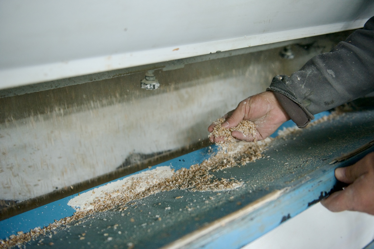 Жители села Бейнеу на зерновом терминале Фонда Halyk: первый хлеб выпечен из местной муки, рядом развивается школа и социальные объекты. Фонд Halyk, село Бейнеу, зерновой терминал, школа Бейнеу, сельское развитие, хлеб, Мангистауская область, образование в регионах, агроподдержка Казахстана, Тимур Кулибаев