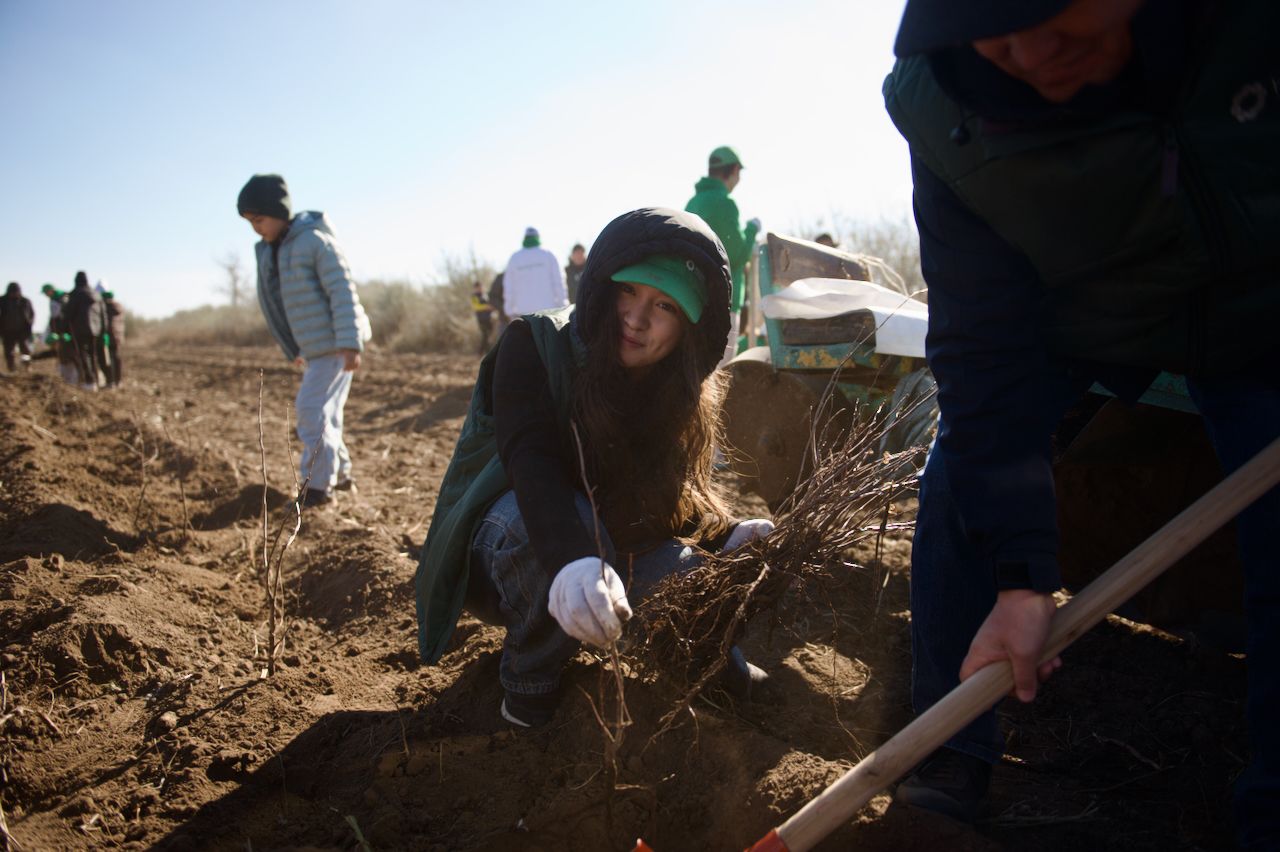 Halyk орманы, волонтёры, студенты и представители фонда Halyk высаживают 7 500 саженцев яблонь в зелёном поясе Астаны, Фоторепортаж Карлыгаш Нуржан для Shanger.kz.